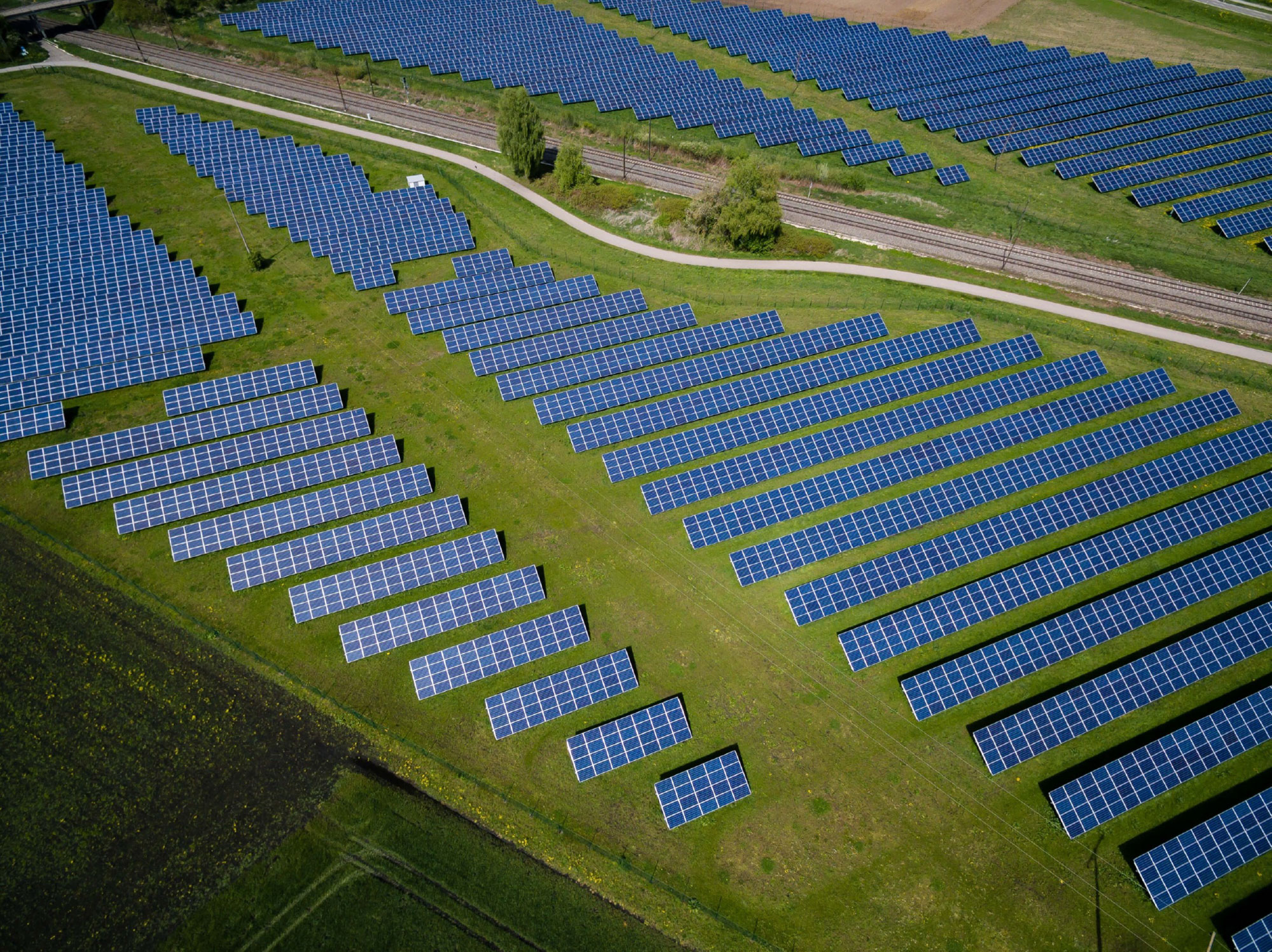 solar panels on solar farm