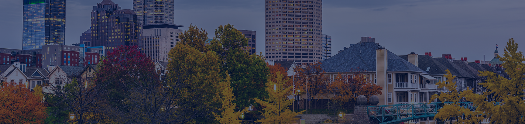banner-img